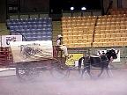 g2k0862S.JPG
