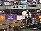 g2k0864S.JPG