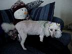 g2k3220S.JPG
