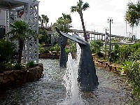 g2k3305S.JPG