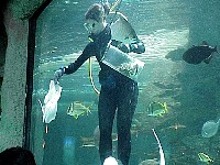 g2k3322S.JPG