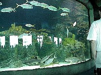 g2k3343S.JPG