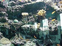 g2k3349S.JPG