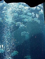 g2k3364S.JPG