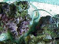 g2k3383S.JPG