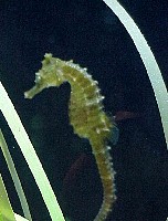 g2k3398S.JPG