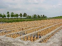 g2k3434S.JPG
