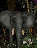 g2k3494S.JPG