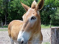 g2k3534S.JPG