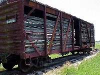 g2k3536S.JPG
