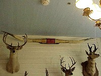 g2k3562S.JPG
