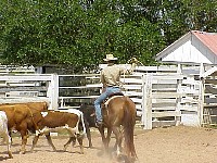 g2k3567S.JPG