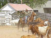 g2k3568S.JPG