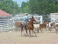 g2k3571S.JPG
