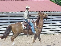g2k3572S.JPG