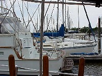 g2k3644S.JPG