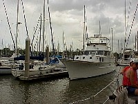 g2k3645S.JPG
