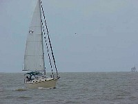 g2k3660S.JPG