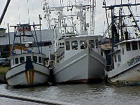 g2k3681S.JPG