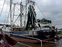g2k3686S.JPG