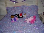 DSC00666.JPG