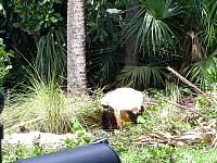 DSC04664.JPG