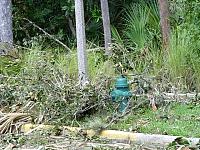 DSC04671.JPG