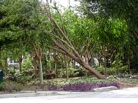 DSC04677.JPG