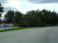 DSC04713.JPG