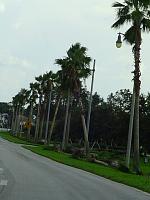 DSC04721.JPG