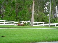 DSC04725.JPG