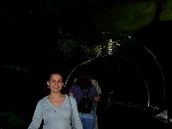Katie996121.JPG
