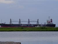 DSC03517.JPG