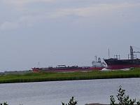 DSC03519.JPG