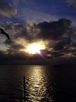DSC03555.JPG