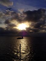 DSC03557.JPG