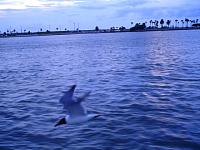 DSC03597.JPG
