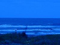 DSC03614.JPG