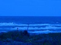 DSC03615.JPG