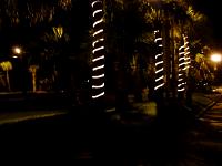 DSC03629.JPG