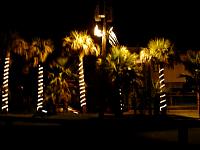 DSC03631.JPG