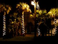 DSC03635.JPG