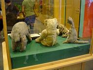 DSC09186.JPG