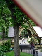 DSC09197.JPG