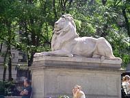 DSC09221.JPG