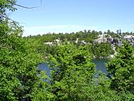 DSC09513.JPG