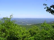 DSC09515.JPG